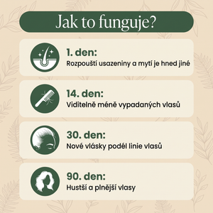 Jak to funguje